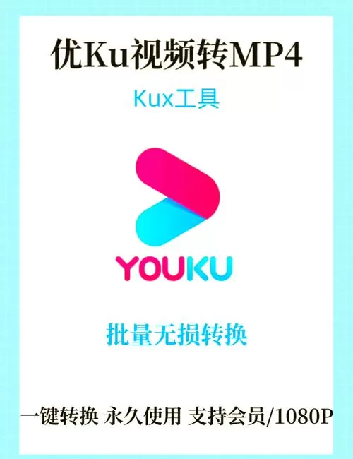 优酷视频改为mp4图标