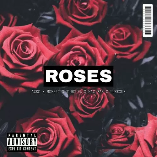 rosetta stone 手机版