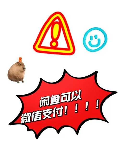 闲鱼不能用微信支付吗