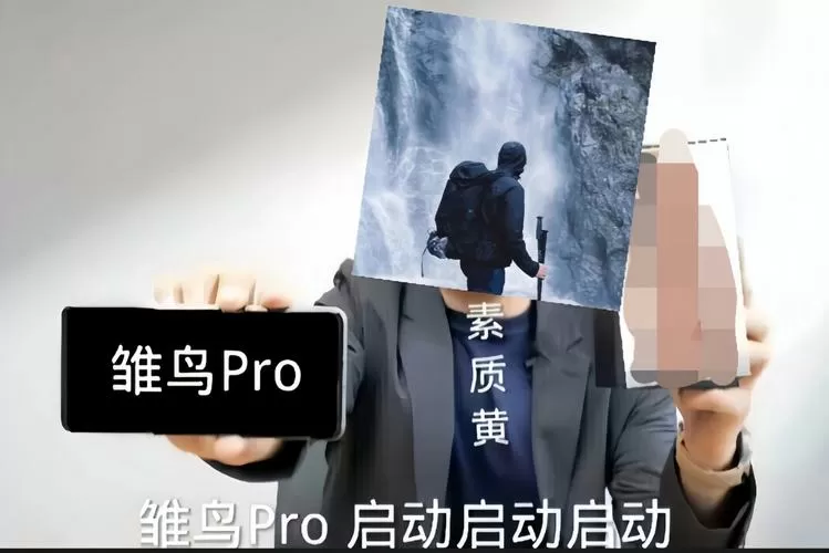 雏鸟pro破解版安装包怎么下载雏鸟pro破解版轻量版