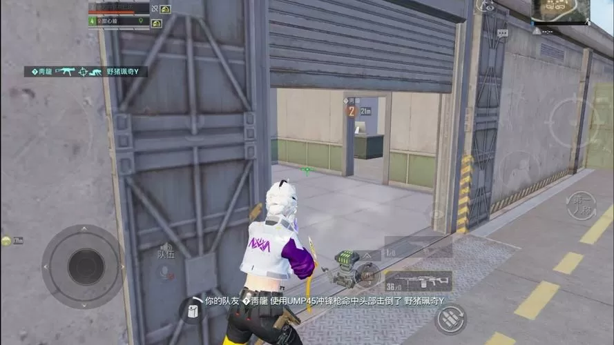 ios神罚和平精英辅助