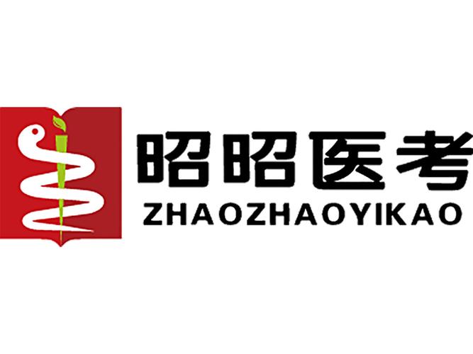 昭昭医考2025全套视频