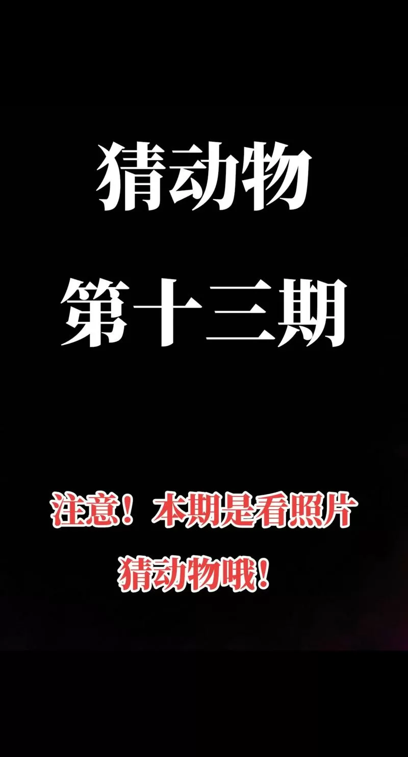 全民猜动物