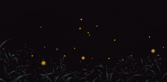 萤火桌面动态壁纸手机版下载