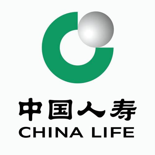 中国人寿最火爆的产品图标