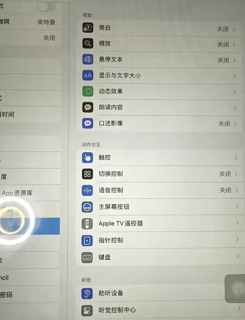 ipad怎么显示触摸点