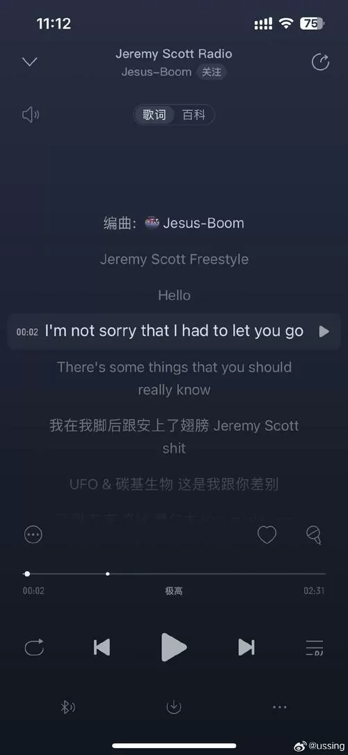 track在音乐上应该怎么翻译图标