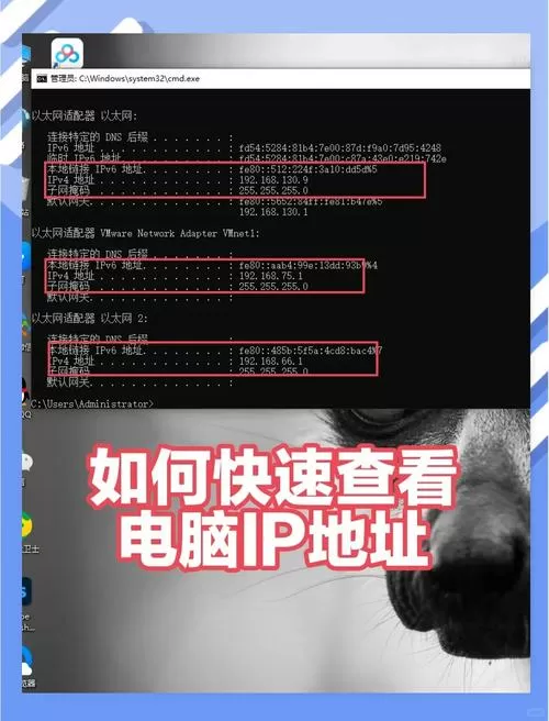 ip地址多久刷新一次图标