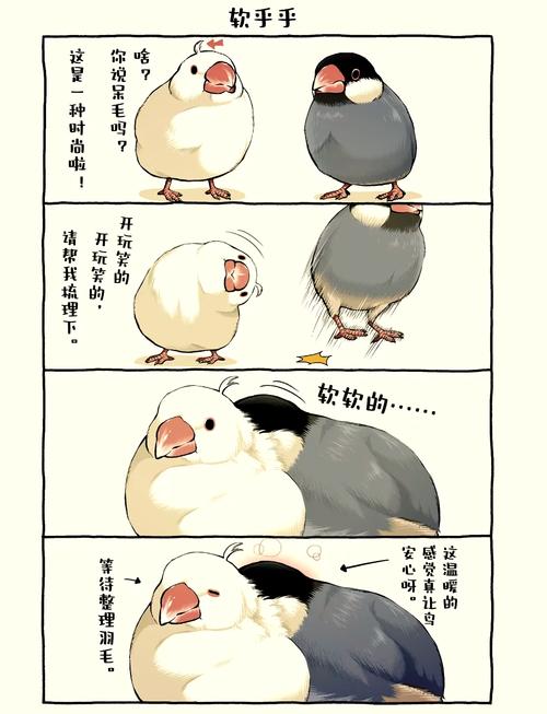 鸟鸟韩漫