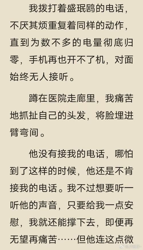 飞语小说
