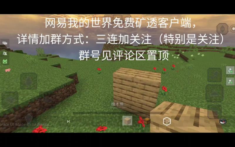 我的世界矿透挂页面版
