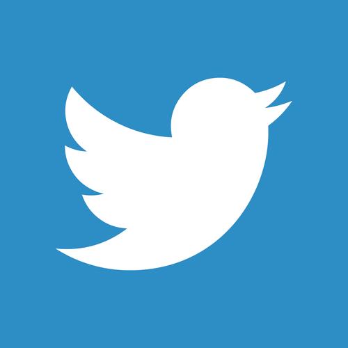 twitter老版本小蓝鸟图标安装无付费版图标