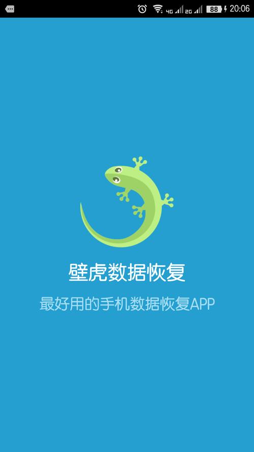 壁虎数据恢复挂机辅助