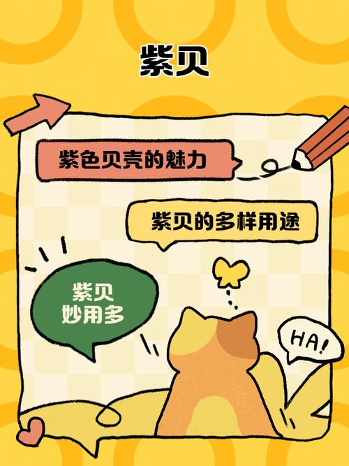 紫贝阅读最新版图标