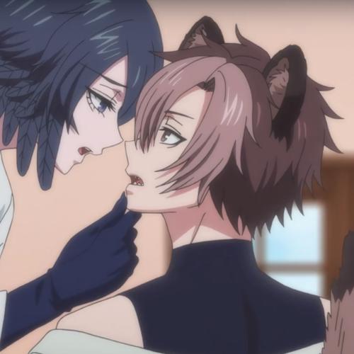 接档冬眠的熊先生下一部光环加速版