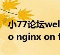 小77论坛图标