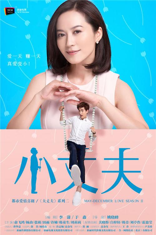 小丈夫电视剧全集剧情免费观看