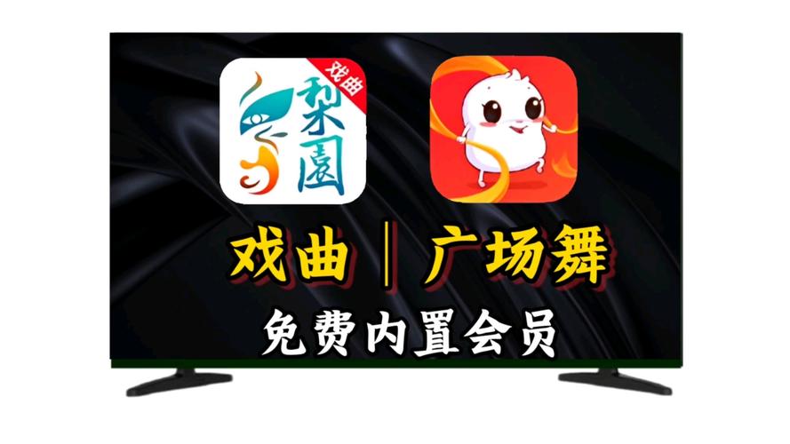 糖豆广场舞mp4免费挂机辅助图标