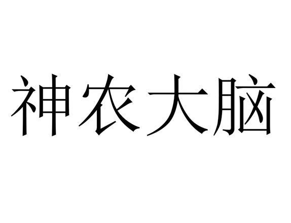 神农大脑