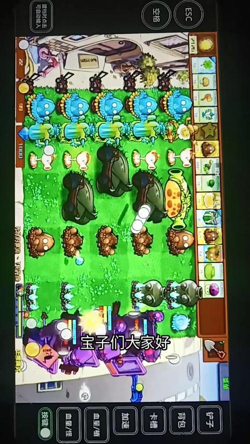 植物大战僵尸融合版修改器电脑版永久免费版