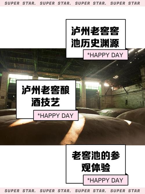 窖池视频抢先版