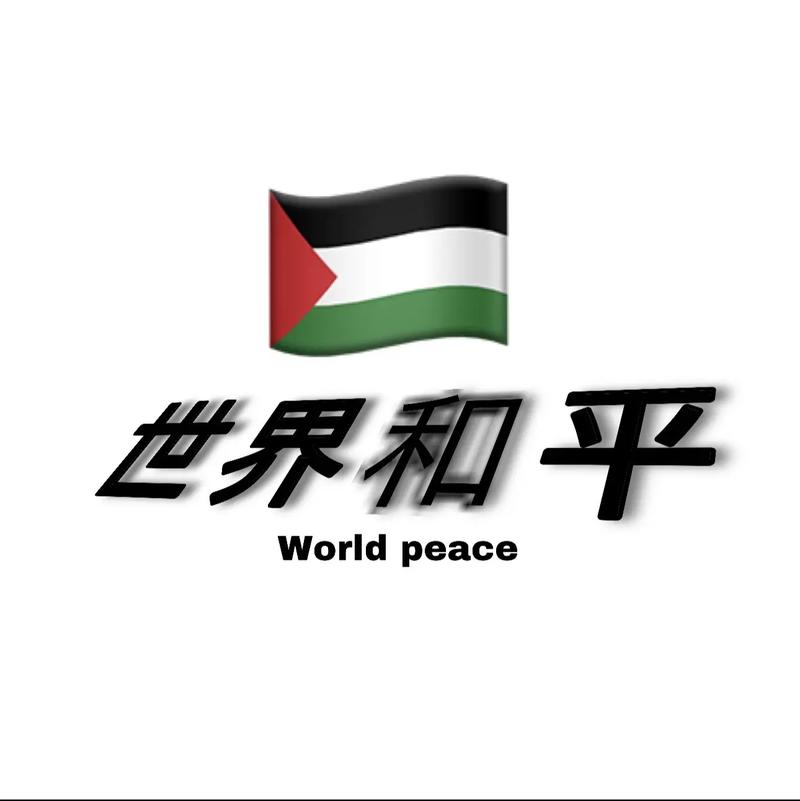 和平公益直装2024
