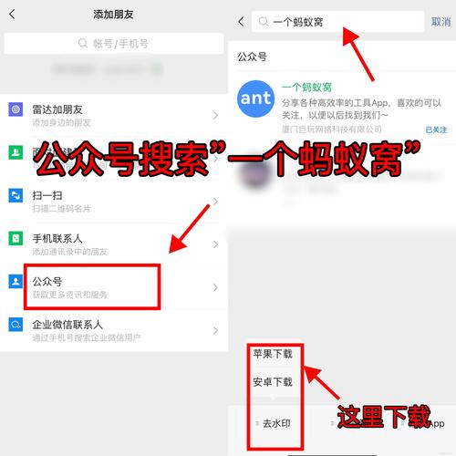 抖音探探新春版破解无限配额
