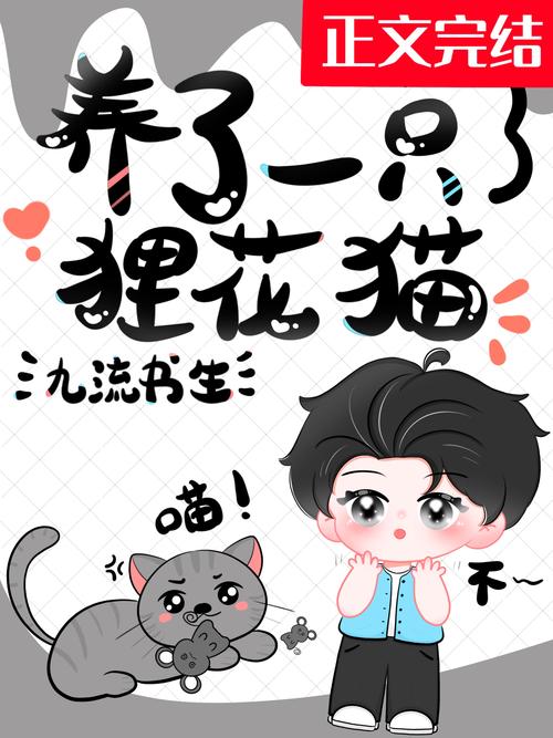 花猫小说最新版免费观看图标
