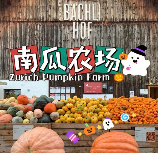 南瓜农场赚钱游戏