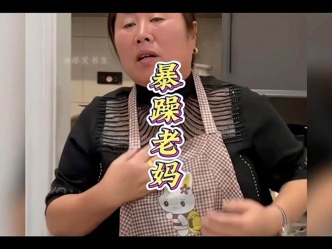 暴躁老妈的视频素材破解版图标
