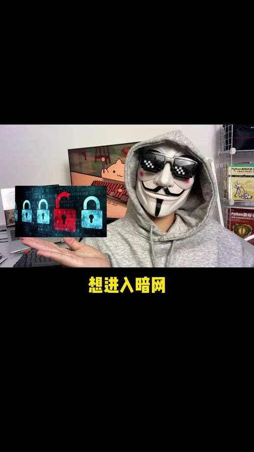 免费暗网直接免费阅读