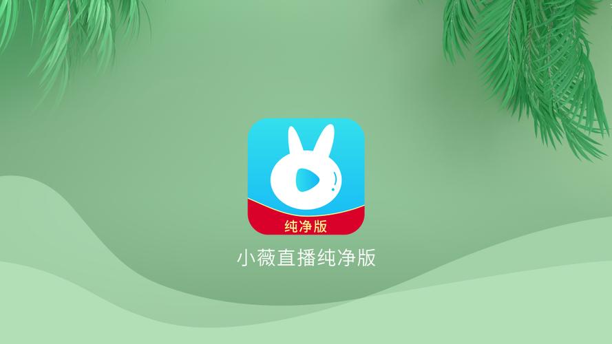 小薇直播TV电视版app