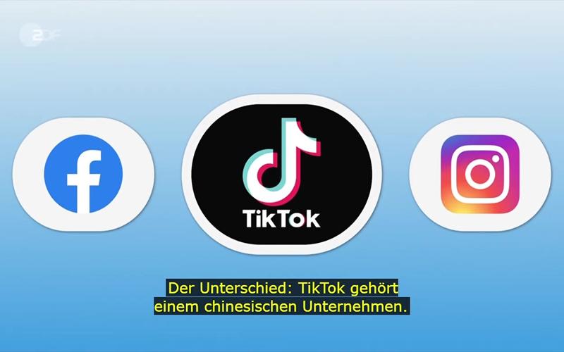 国际版tiktok色板免费