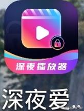 免费18款深夜入口v安卓版图标