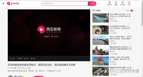 西瓜视频谷歌无广告版