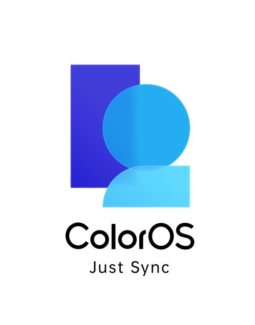 color官网入口图标