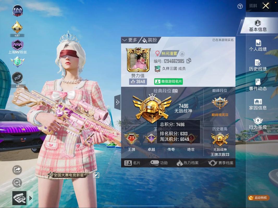 dy直装版和平精英永不升级版