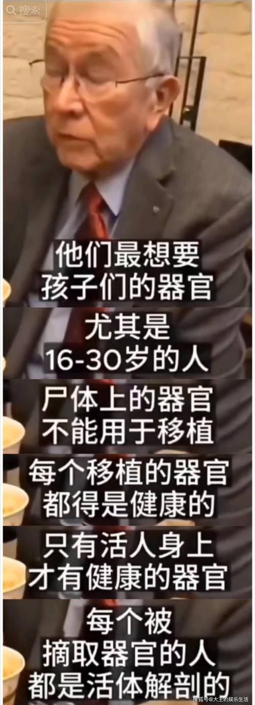 萝莉岛ppt破解版