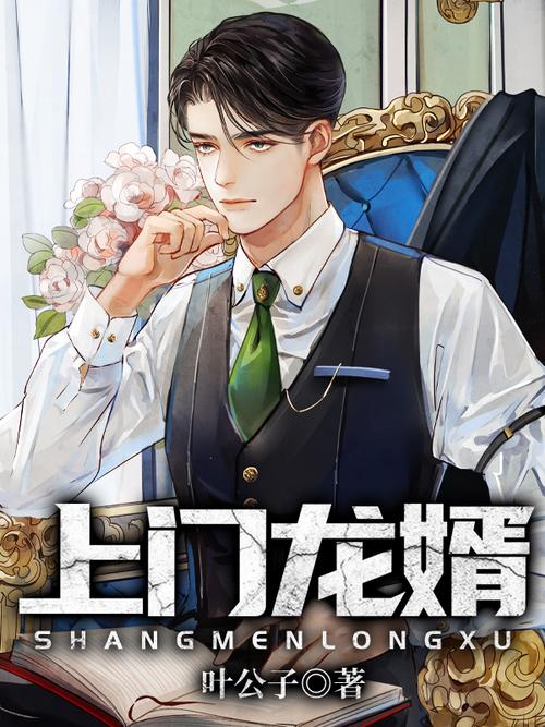 七猫免费小说上门龙婿