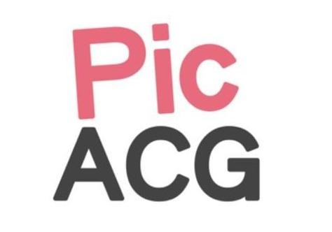 PICACG老版本图标