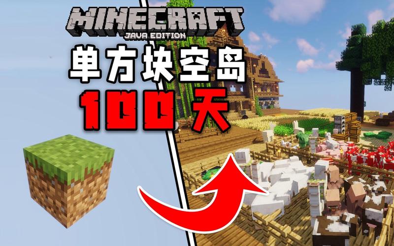 双人空岛生存100天纯净无广告版