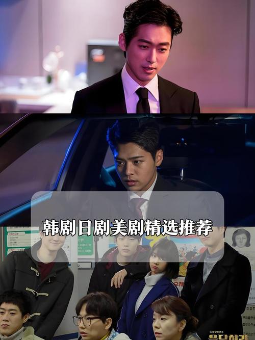 国产剧美剧日韩剧喜好占比无弹窗版图标