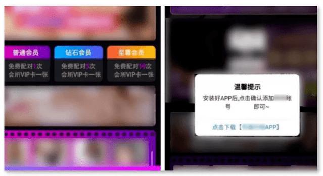 流氓视频网页版入口免排队