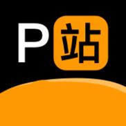 p站破解图标