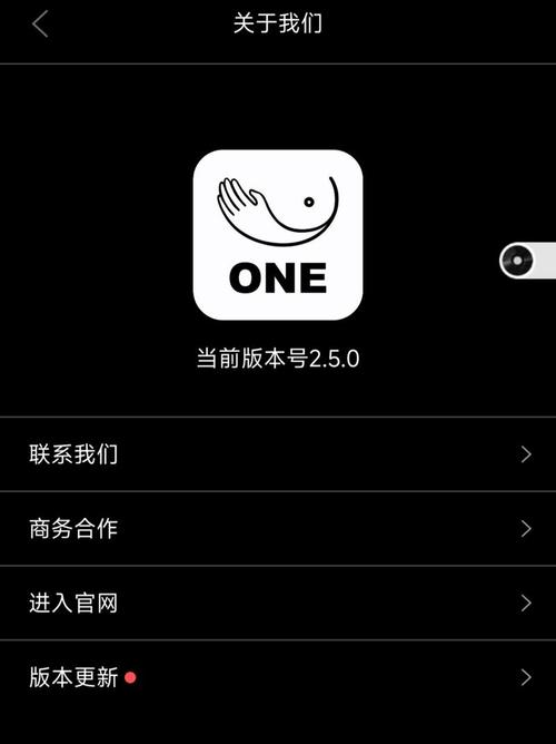 one一个成人的世界一个就够了永久会员版图标