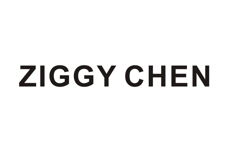ziggy怎么读图标