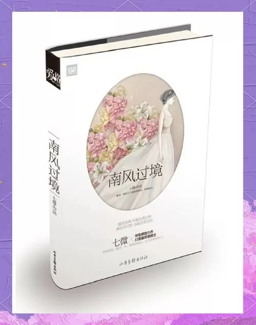 短剧《南风过境》后续图标
