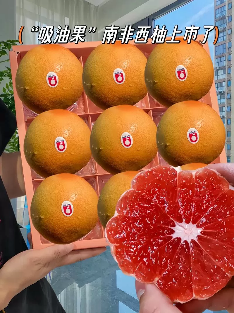 西柚短视频极速版