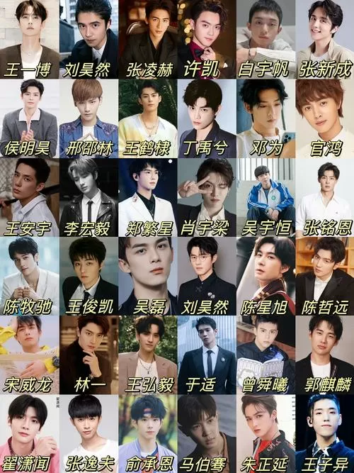 男明星人气排行榜