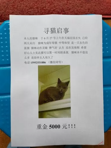 多赏喵悬赏